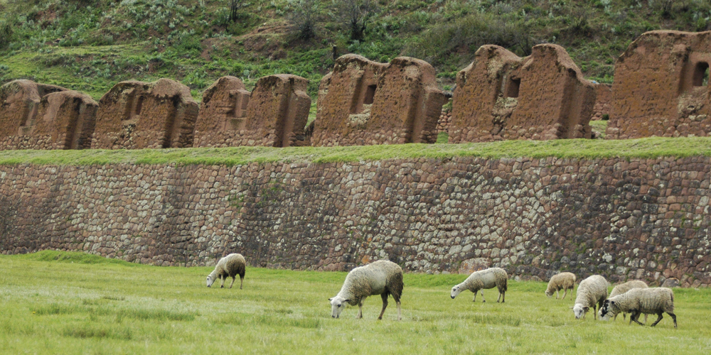 huchuy-qosqo trekking